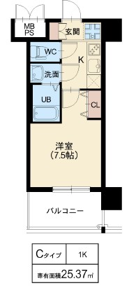 Cタイプ