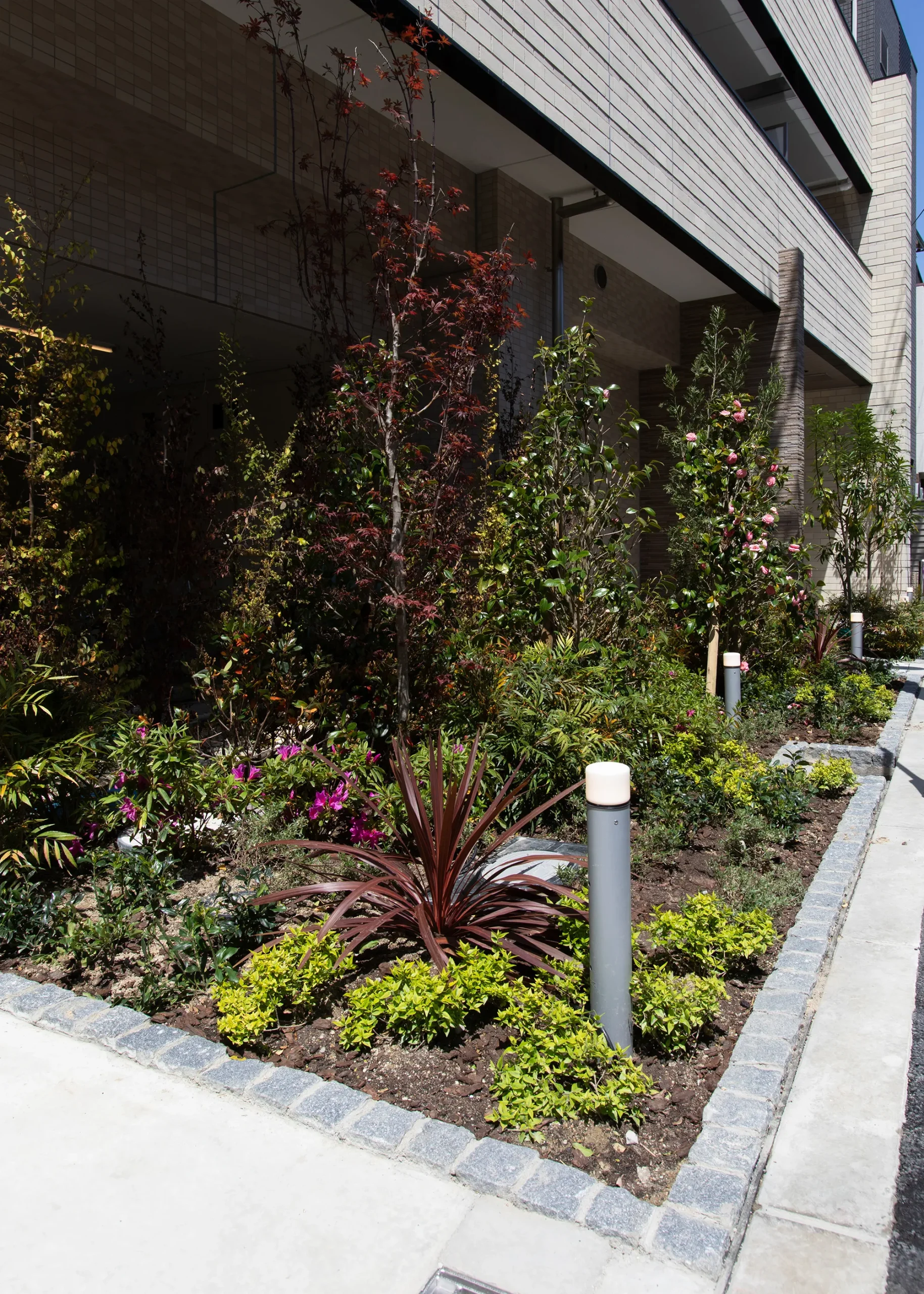 スプランディッド弁天町：植栽