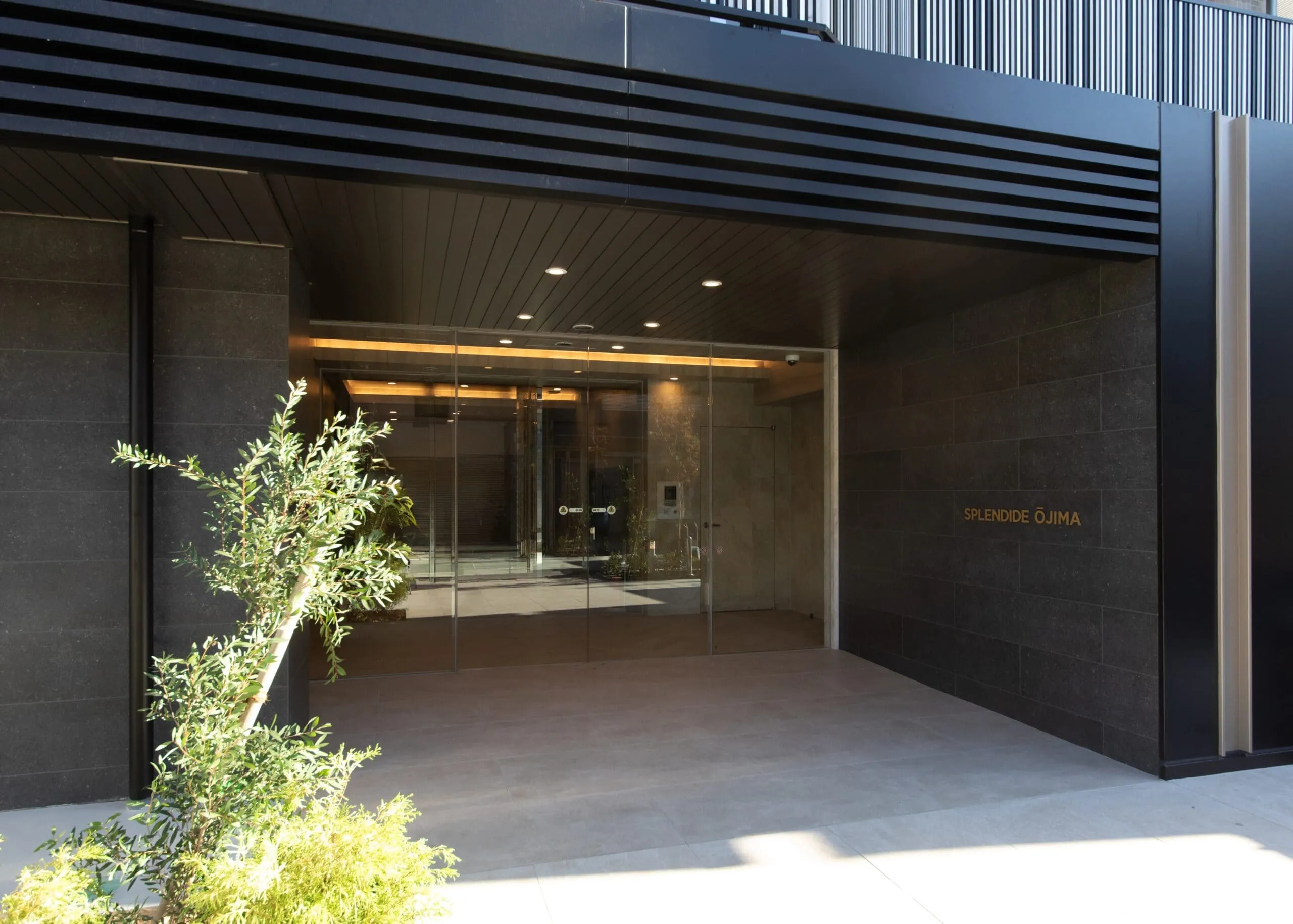 スプランディッド大島：エントランス