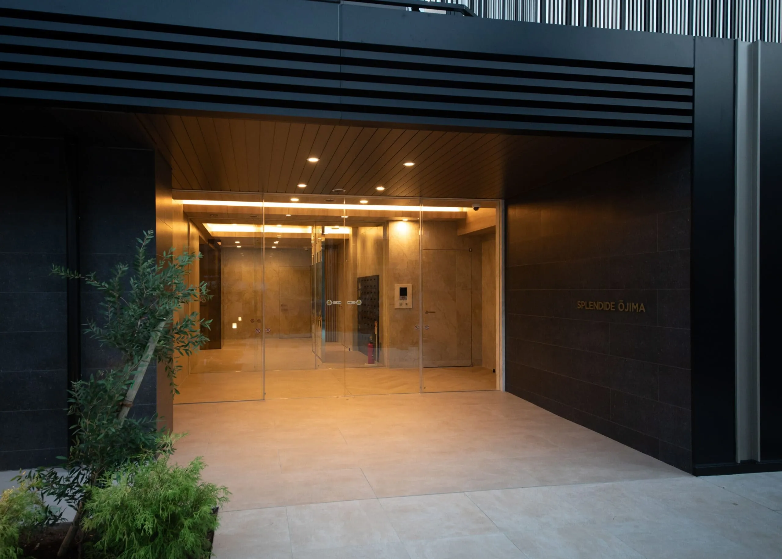 スプランディッド大島