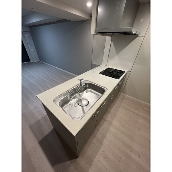  スプランディッド上野North：キッチン